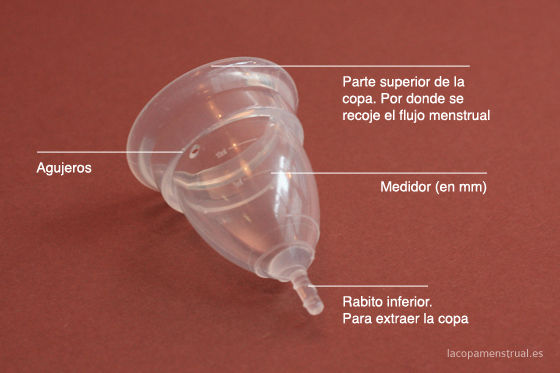 ( imagen tomada de la red )