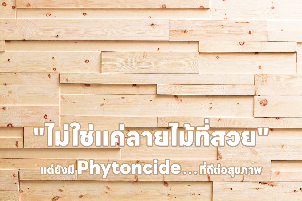 Wooden plank wall with visible knots. Thai text in white reads: "Not just beautiful wood patterns" and "Phytoncide... good for health."