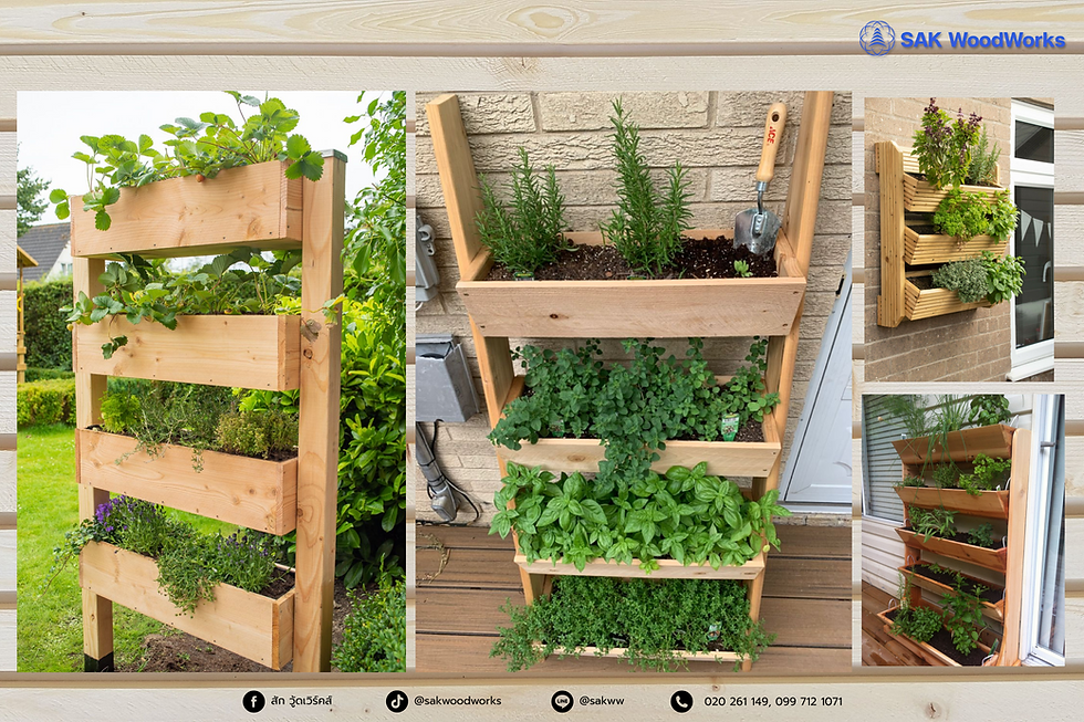 แต่งสวน,ไม้สน,กระถาง,ทำสวน,ปลูกต้นไม้,แต่งบ้าน,สวนแนวตั้ง,garden, vertical garden,ไม้สนรัสเซีย,ไม้แปรรูป