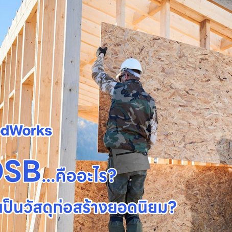 ไม้ OSB คืออะไร? ทำไมถึงกลายเป็นวัสดุก่อสร้างยอดนิยม?