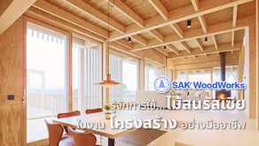 ไม้สน + งานโครงสร้าง เพราะไม้หนักไม่ใช่คำตอบเสมอไป