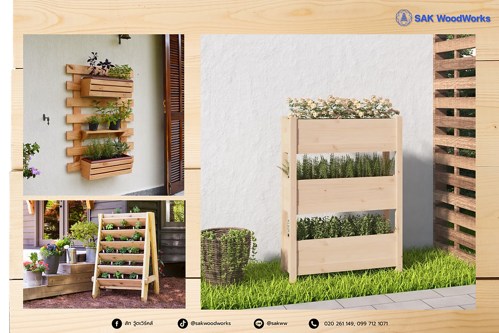 แต่งสวน,ไม้สน,กระถาง,ทำสวน,ปลูกต้นไม้,แต่งบ้าน,สวนแนวตั้ง,garden, vertical garden,ไม้สนรัสเซีย,ไม้แปรรูป