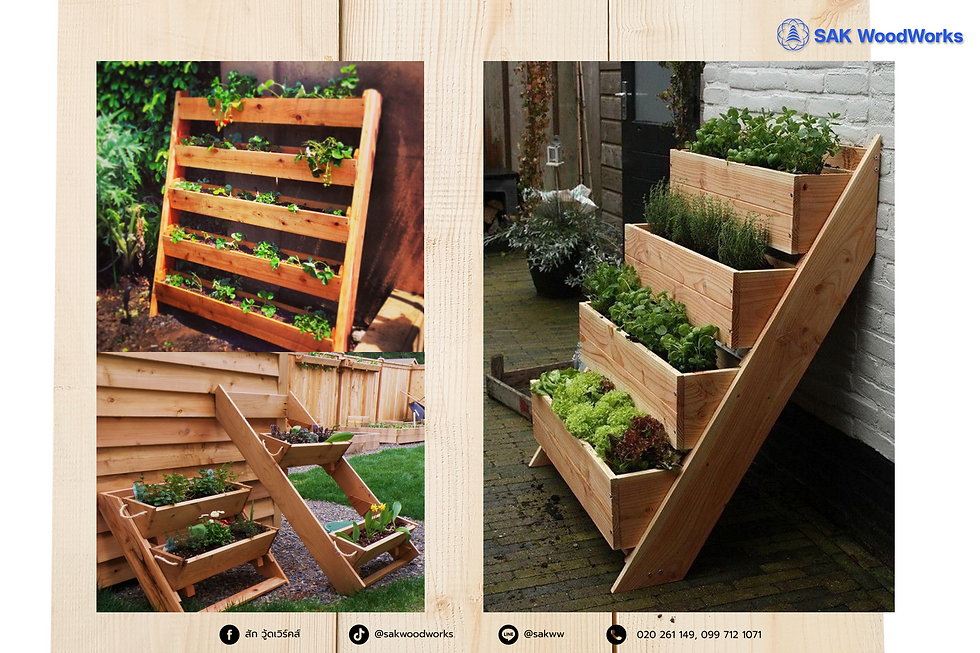 แต่งสวน,ไม้สน,กระถาง,ทำสวน,ปลูกต้นไม้,แต่งบ้าน,สวนแนวตั้ง,garden, vertical garden,ไม้สนรัสเซีย,ไม้แปรรูป