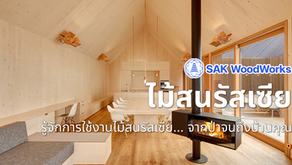 🪵 รู้จักการใช้งานไม้สนรัสเซีย… จากป่าจนถึงบ้านคุณ