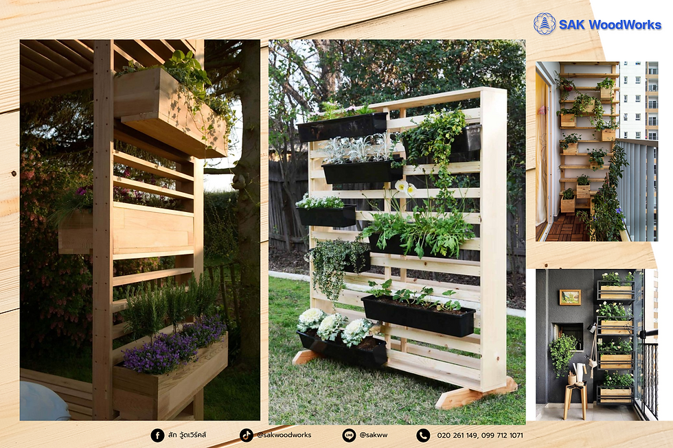 แต่งสวน,ไม้สน,กระถาง,ทำสวน,ปลูกต้นไม้,แต่งบ้าน,สวนแนวตั้ง,garden, vertical garden,ไม้สนรัสเซีย,ไม้แปรรูป