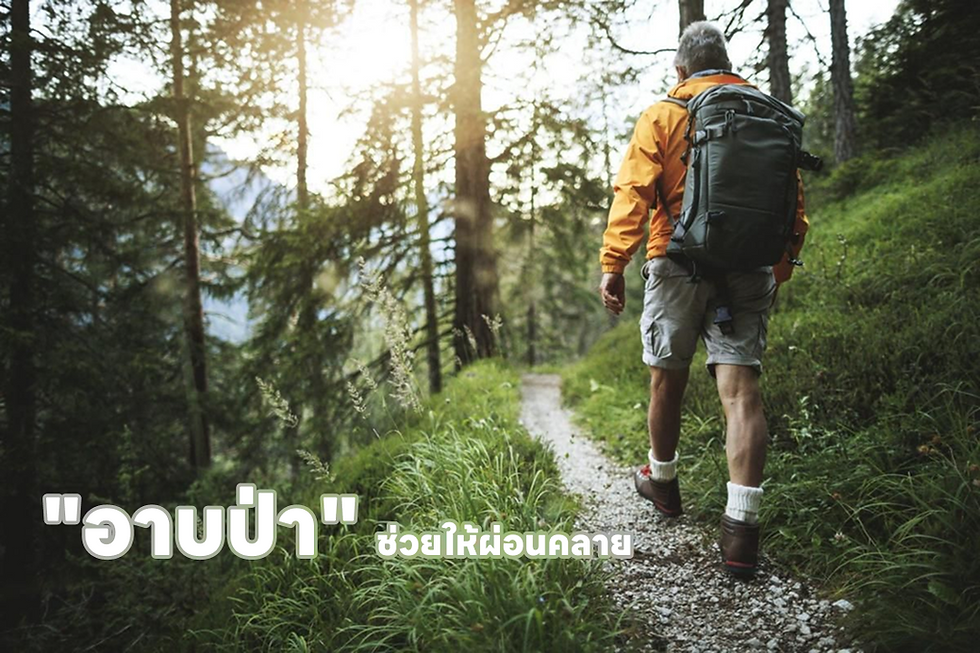 ชายสวมเสื้อแจ็กเก็ตสีส้มเดินในป่าธรรมชาติ แสงแดดส่องผ่านต้นไม้ ข้อความภาษาไทยว่า "อาบป่า" ช่วยให้ผ่อนคลาย