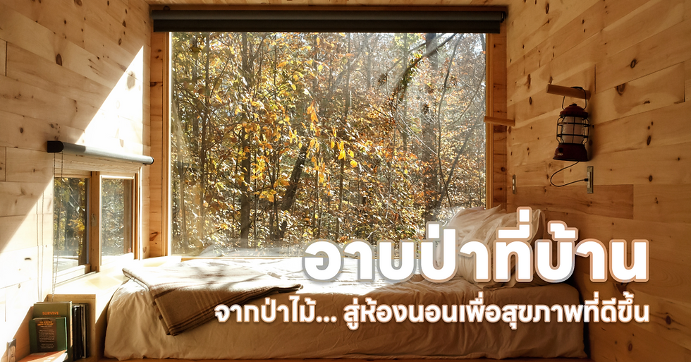 Cozy wooden room with large window view of autumn forest. Bed, lantern, book, and Thai text "อาบป่าที่บ้าน" visible. Warm, serene mood.