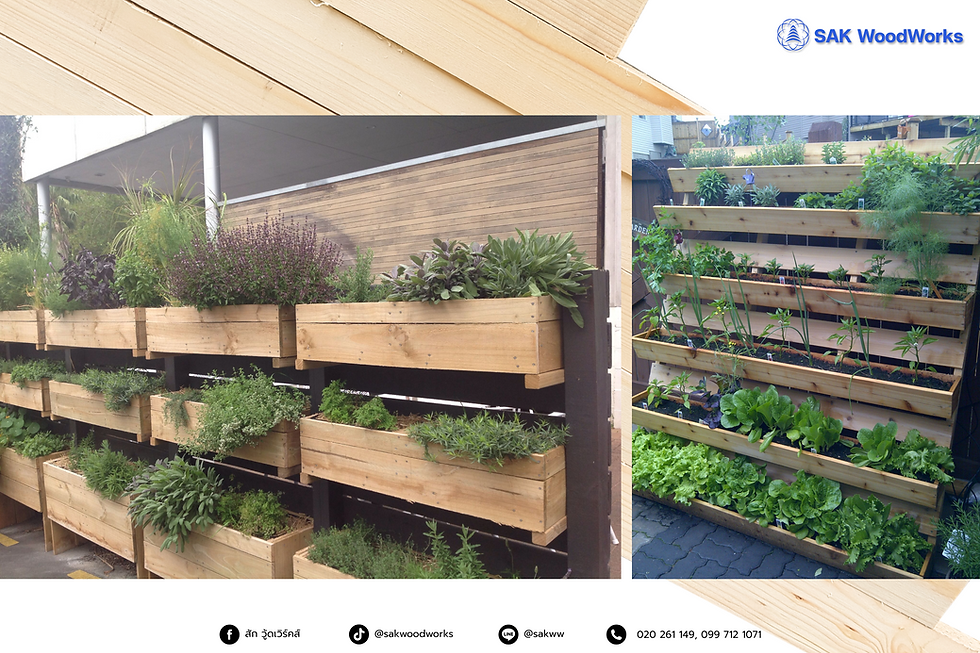 แต่งสวน,ไม้สน,กระถาง,ทำสวน,ปลูกต้นไม้,แต่งบ้าน,สวนแนวตั้ง,garden, vertical garden,ไม้สนรัสเซีย,ไม้แปรรูป