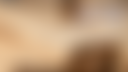 ความพิเศษของไม้สนที่ไม่เหมือนใคร!