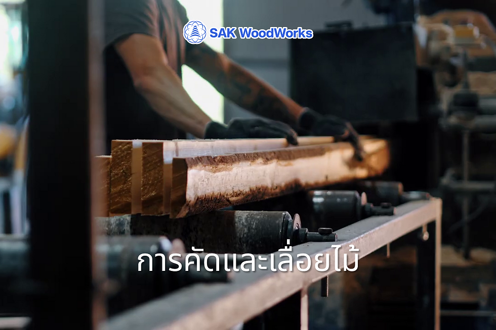 โรงงานผลิตไม้สน การคัดและเลื่อยไม้ 