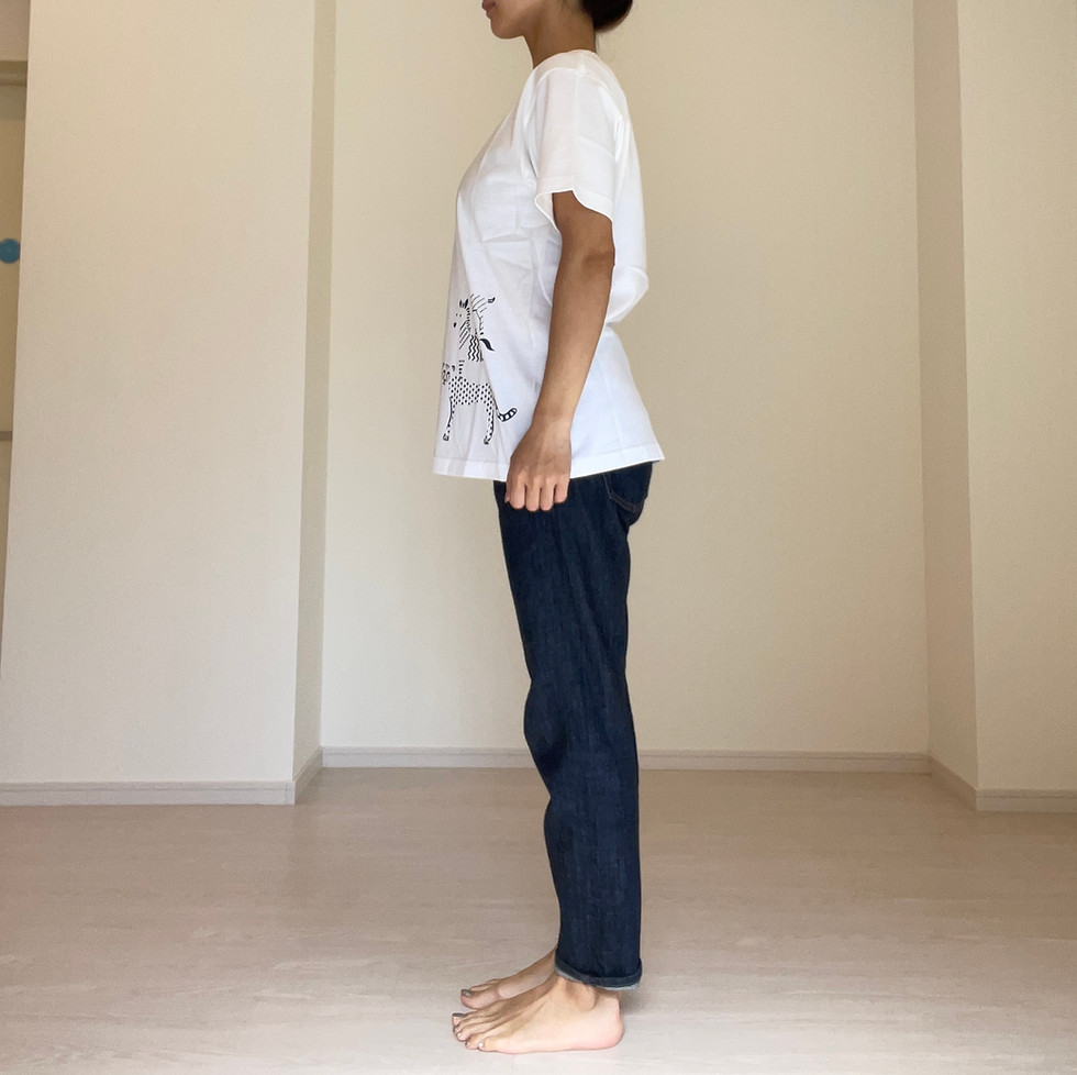 サムネイル： Tシャツ（アニマル集合）