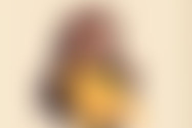 שירותי אדמיניסטרציה במיקור חוץ