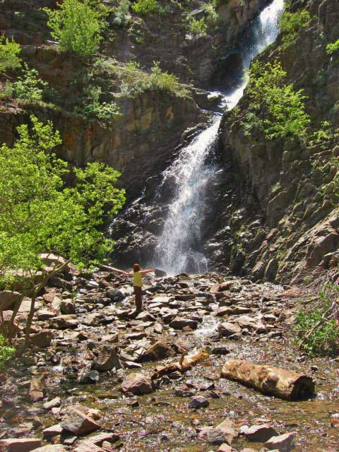 Food, Fun, And Games