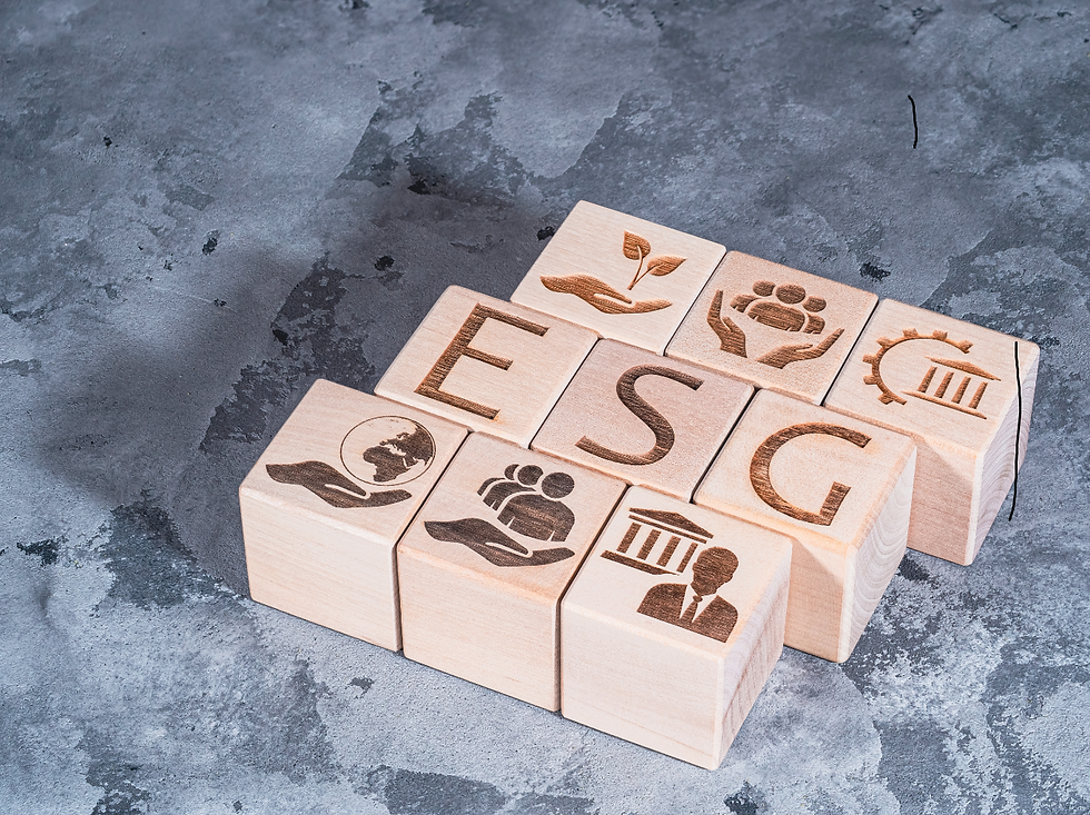 Creating a Sustainable Culture in Business: The Green Workplace of 2024