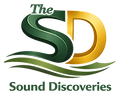 THE SOUND DISCOVERIES Emerald Logo.png