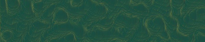 TSD Background Horizontal Evergreen.jpg