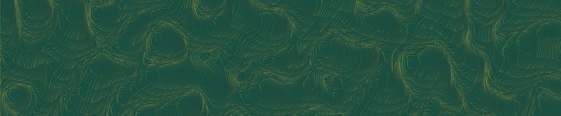 TSD Background Horizontal Evergreen.jpg