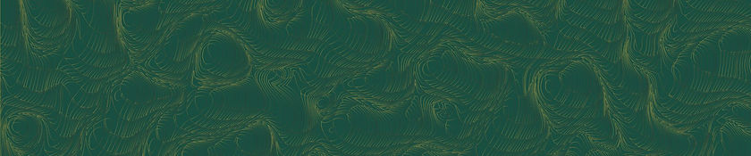 TSD Background Horizontal Evergreen.jpg