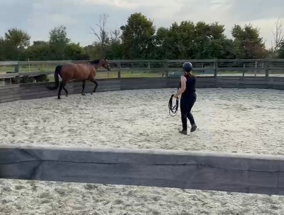 WhatsApp Image 2025-08-17 at 17.34.53.jpeg