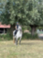 WhatsApp Image 2025-09-11 at 18.01.31.jpeg