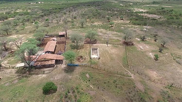 Fazenda Nupeárido
