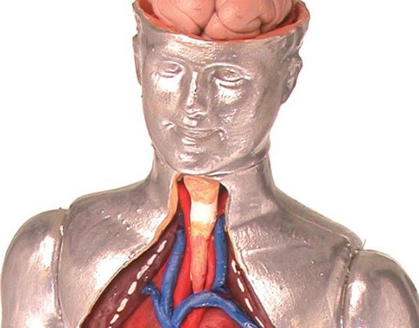 O que são metais pesados e por que fazem mal à saúde?
O adjetivo "pesado" é literal, resul