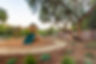 landscaping with mulch, palm tree and boulders