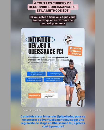 Design sans titre.png