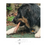 Thumbnail: Peaux de boeuf 15cm/30cm.