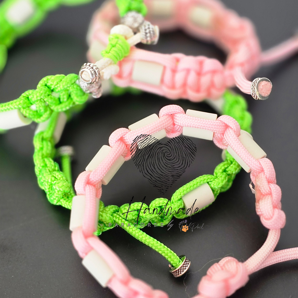 Miniature : Colliers Anti Tiques et puces (au choix) - uni chien