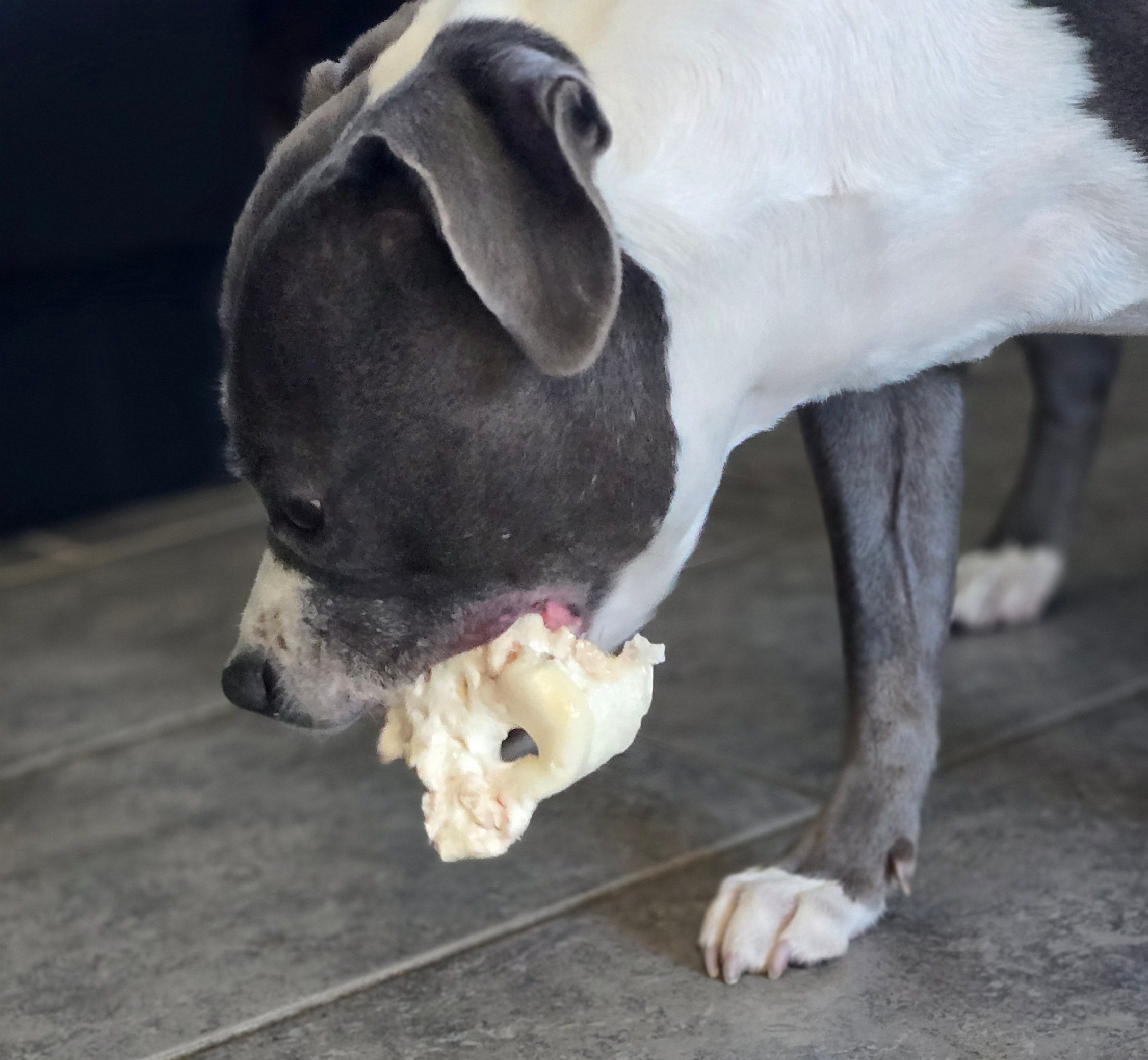 Groin de porc, blanc