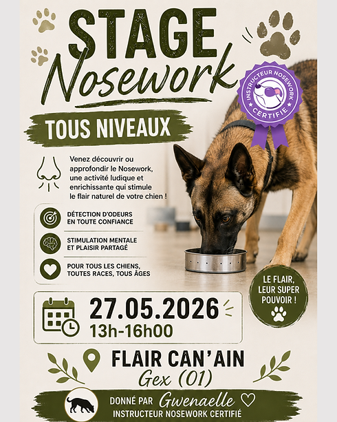 ✨ STAGE NOSEWORK – TOUS NIVEAUX ✨ Envie de découvrir le Nosework ou de perfectionner le fl