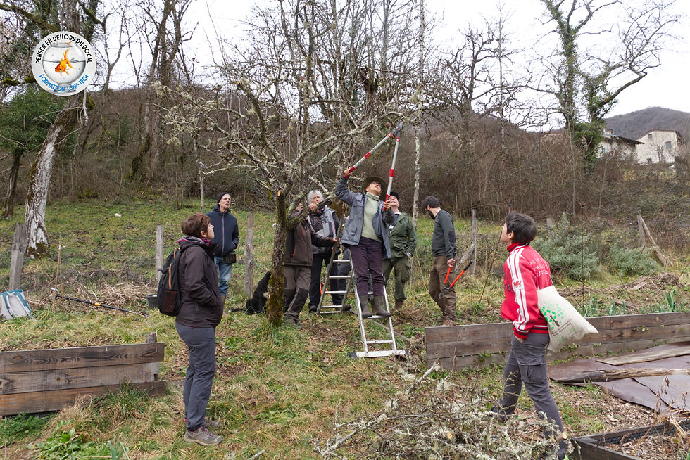 31-01-26 taille arbre Groupe 02 L