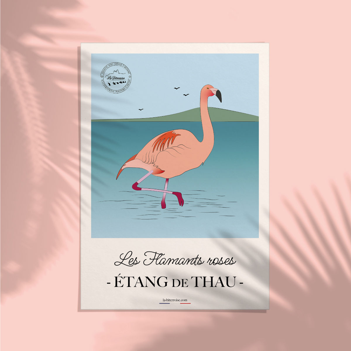 Carte ÉTANG-DE-THAU "Les Flamants roses"