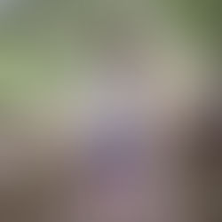 Apego Desorganizado: Cuando la fuente de seguridad da miedo