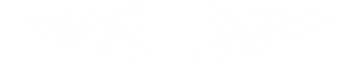 svstudios logo wings