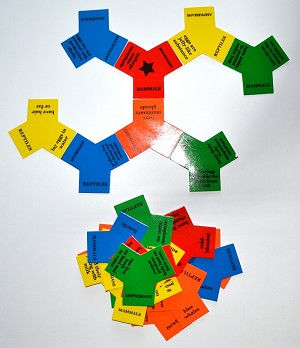 Thumbnail: TriConnect -Quadrants