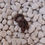 Thumbnail: Ama Thea The Label Chunky Swim Scrunchie made with ECONYL® nylon