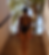 Ama Thea The Label Rhodes Low Back High Leg Swimsuit