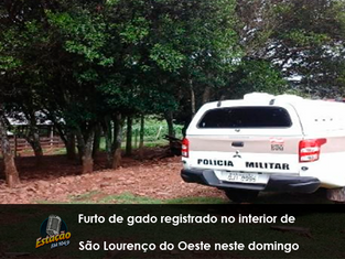 Furto de gado registrado no interior de São Lourenço do Oeste neste domingo