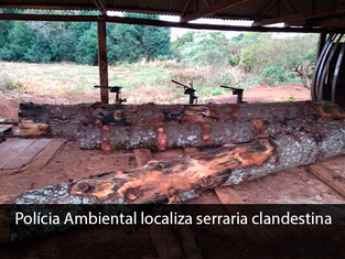 Polícia Ambiental localiza serraria clandestina em município do sudoeste do PR