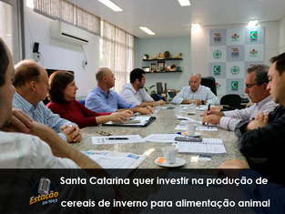 Santa Catarina quer investir na produção de cereais de inverno para alimentação animal