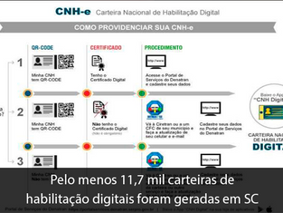 Pelo menos 11,7 mil carteiras de habilitação digitais foram geradas em SC