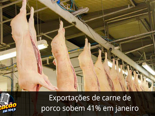 Exportações de carne de porco sobem 41% em janeiro