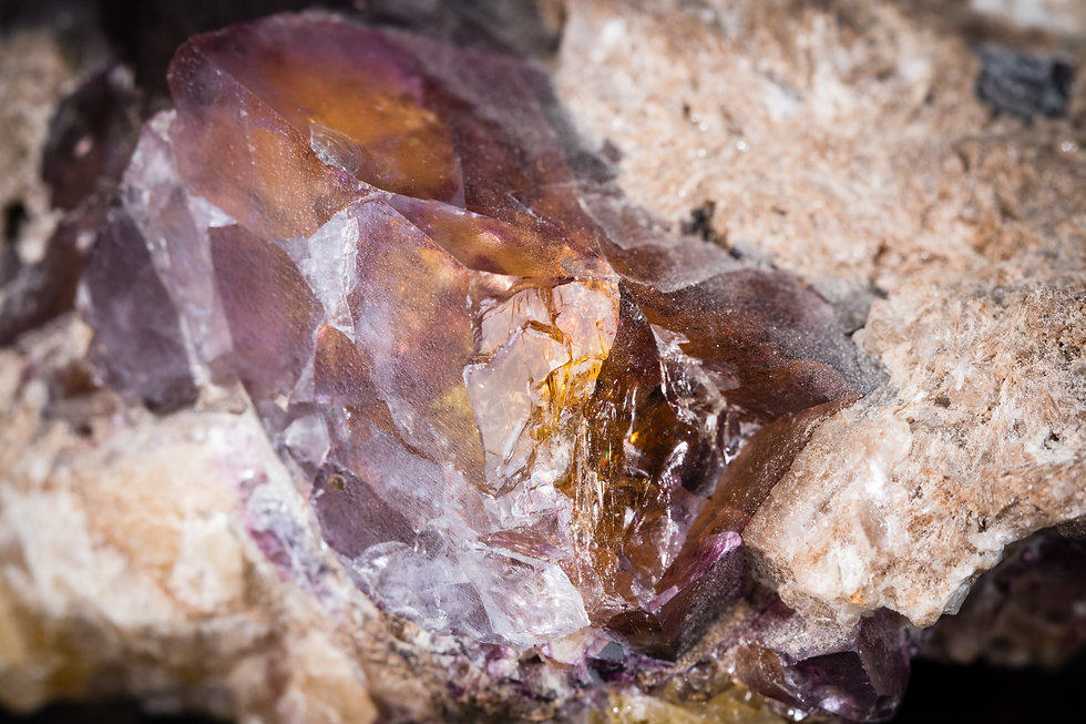usgs-reWjwHK6yuQ-unsplash (1).jpeg