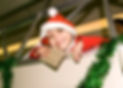 430564_10150571202268472_2025718956_n.jp