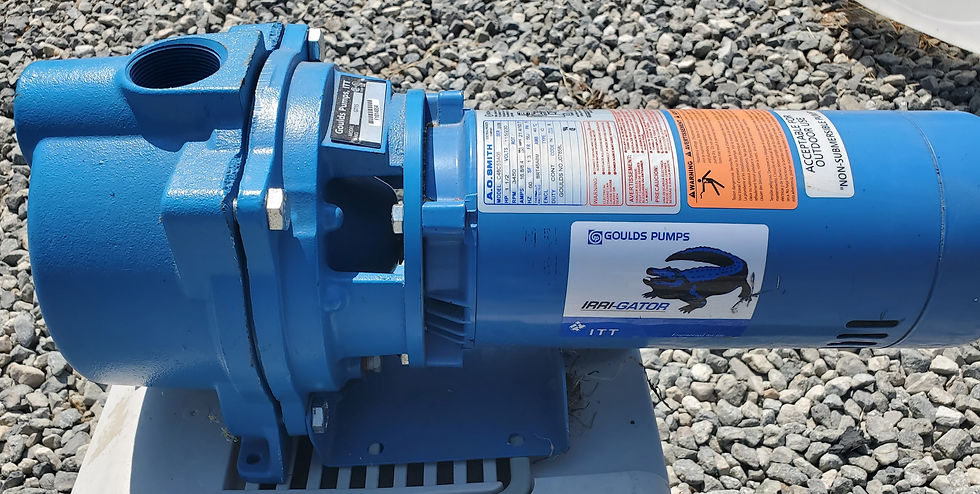 Goulds Pumps Model GT15