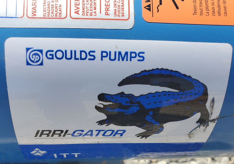 Goulds Pumps Model GT15