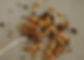 Golden Chai 3.jpg