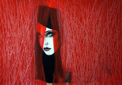 _8_PG-complex - 70x100cm - 2019